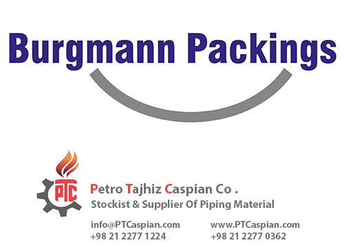 گسکت بروگمن BURGMANN