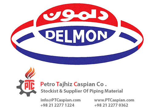 گسکت دلمون DELMON