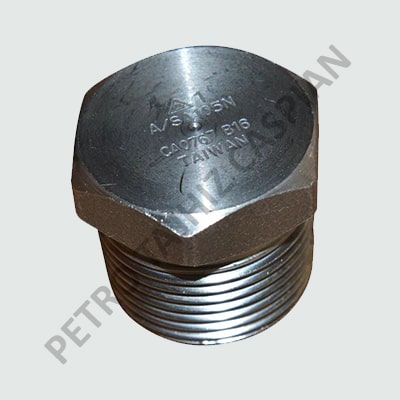 HEX HEAD PLUG FRGD