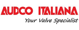AUDCO ITALIANA VALVE